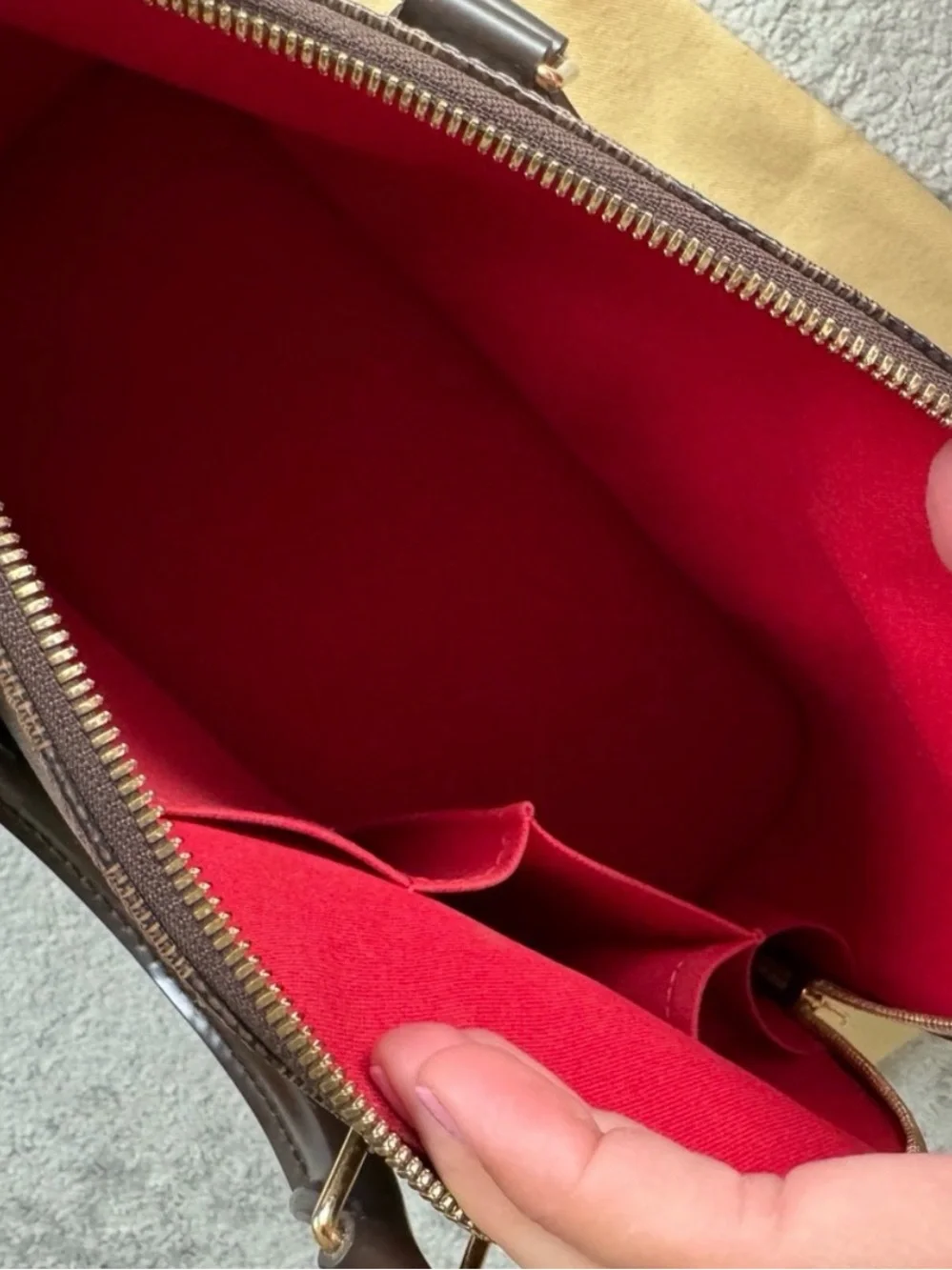 Louis Vuitton authentic louis